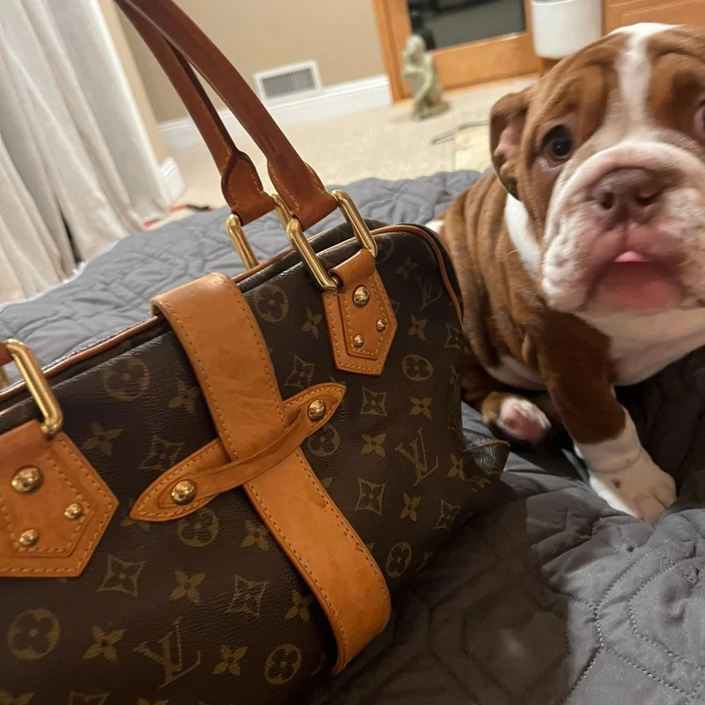 Louis Vuitton Monogram Satchel with Gold Accents - Picture 2 of 13